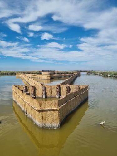 Photo of Others in Comacchio