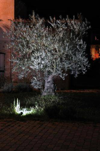 Photo of Others in Rieti