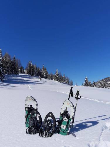 Photo of Others in Auronzo di Cadore