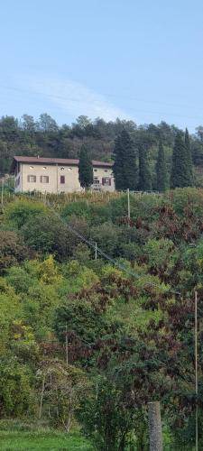 Photo of Others in Martignano
