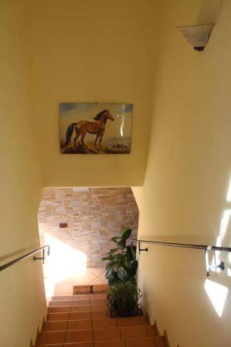 Photo of Others in Civitella in Val di Chiana
