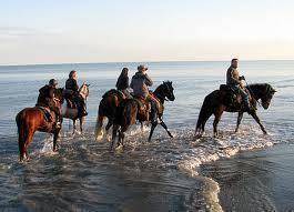 Photo of Others in Lido delle Nazioni