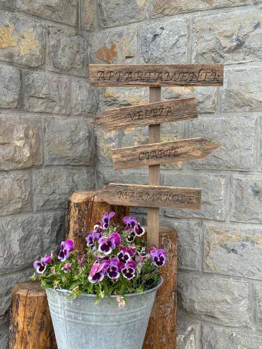 Photo of Others in Auronzo di Cadore