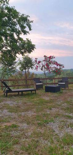 Photo of Outdoor in Travale