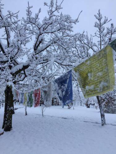 Photo of Others in Chiusa di Pesio