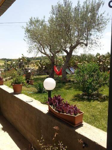 Photo of Others in Ragusa