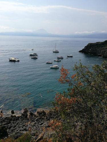 Photo of Others in Cersuta