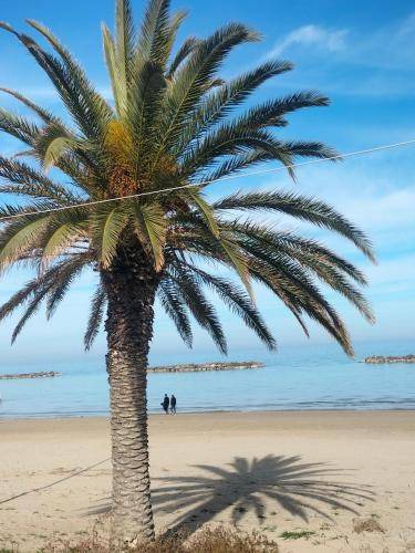 Photo of Others in Venarotta