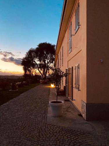 Photo of Others in Nizza Monferrato