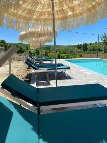 Photo of Others in Nizza Monferrato