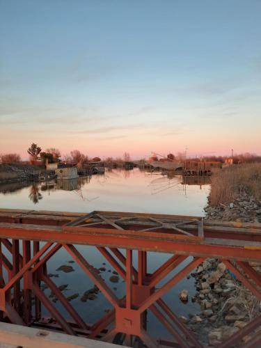 Photo of Others in Comacchio