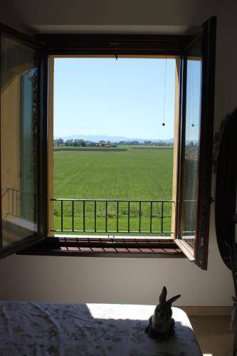 Photo of Others in Soragna