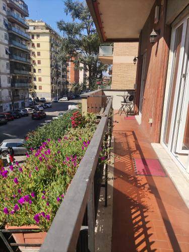 Photo of Patio Balcony in Monte Sacro