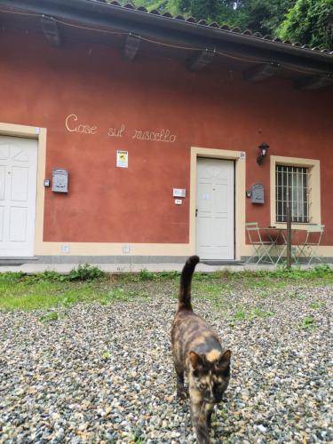 Photo of Others in San Sebastiano da Po