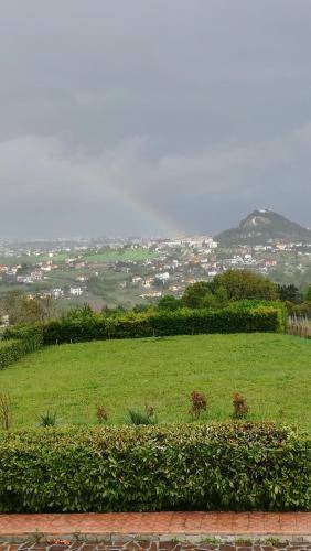 Photo of Others in Campobasso