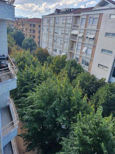 Photo of Others in Cuneo
