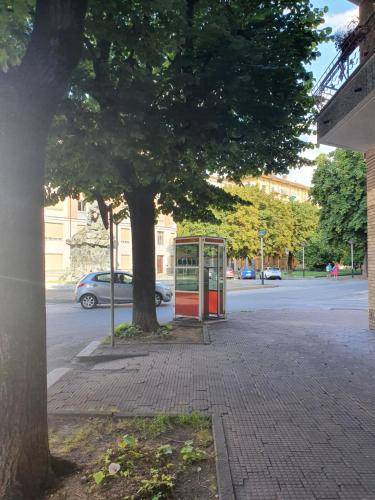 Photo of Others in Cuneo