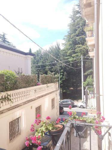 Photo of Others in L'Aquila