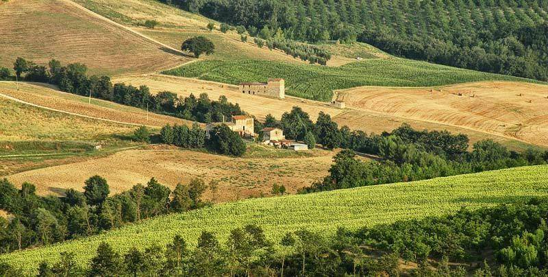 Photo of Others in San Venanzo