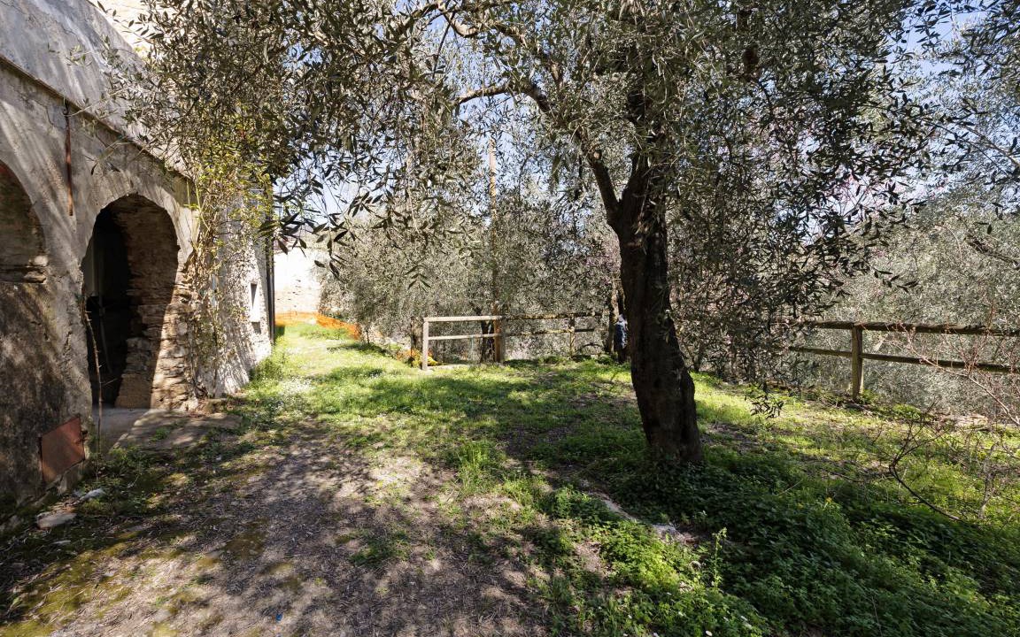 Photo of Others in Stellanello