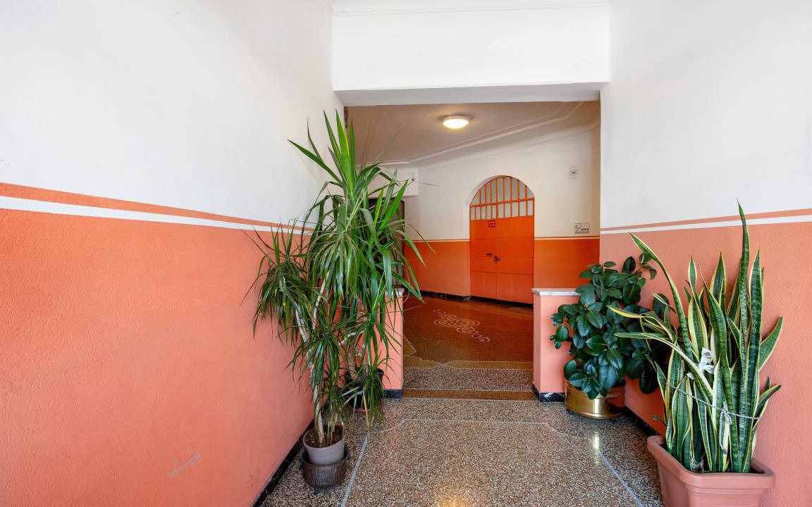 Photo of Others in Savona