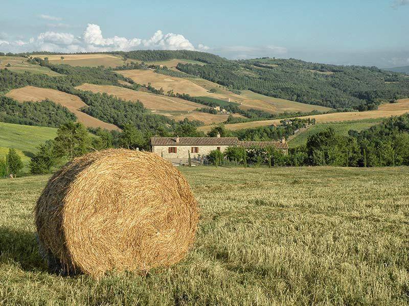 Photo of Others in San Venanzo