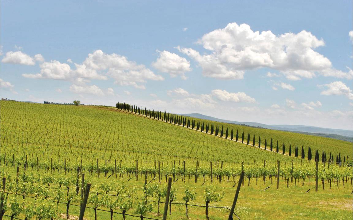 Photo of Others in Greve in Chianti