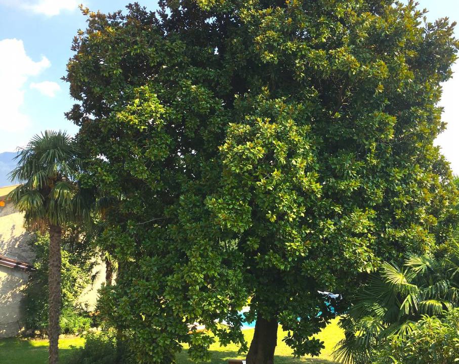 Photo of Outdoor in Cittiglio