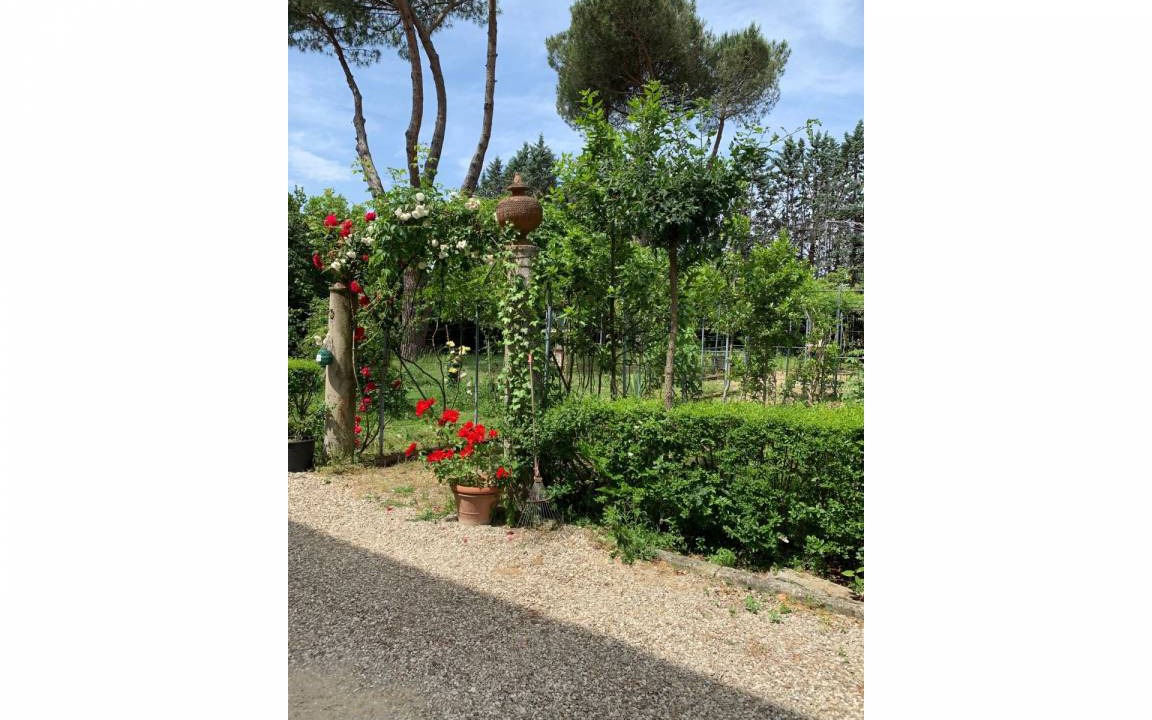 Photo of Others in Tregozzano