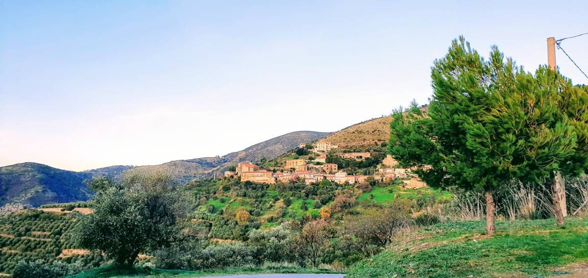 Photo of Others in Fornelli