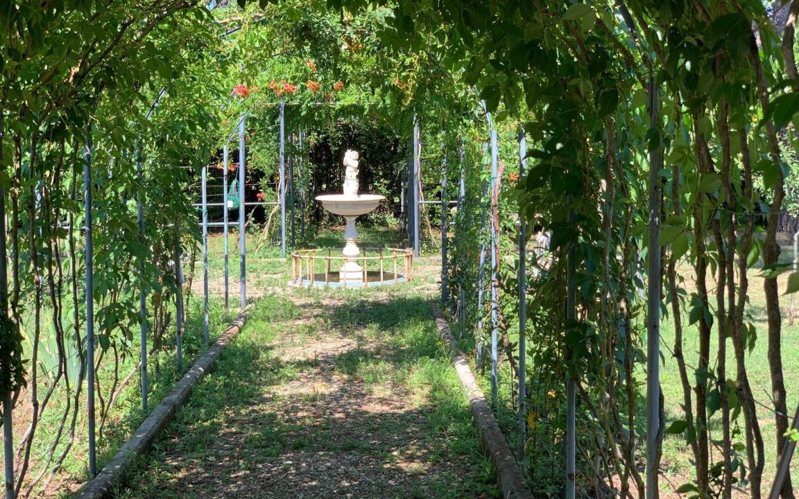 Photo of Others in Tregozzano