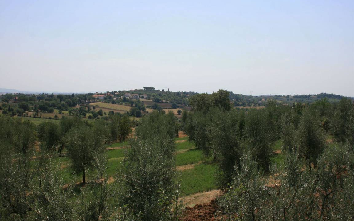 Photo of Others in Marciano della Chiana