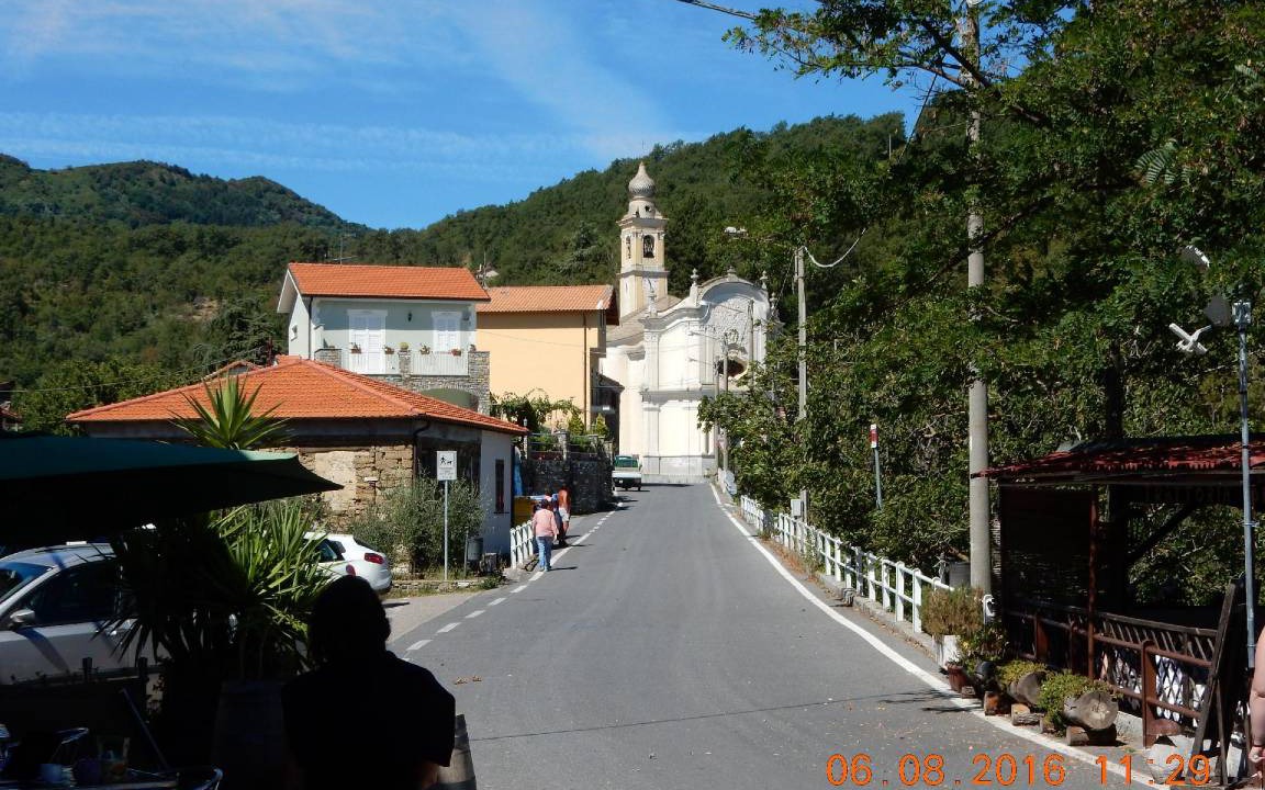 Photo of Others in Testico