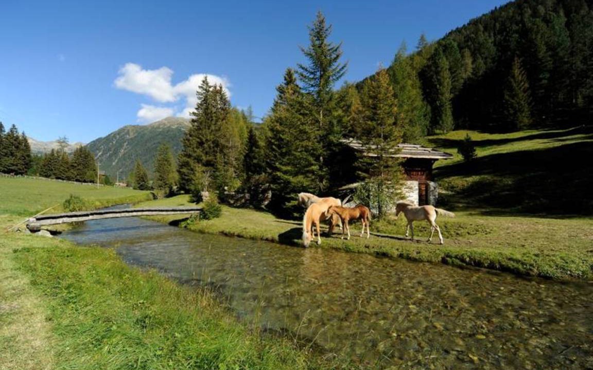 Photo of Others in Sarntal