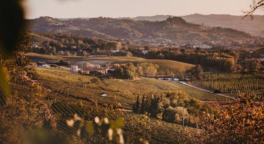 Photo of Others in Nizza Monferrato