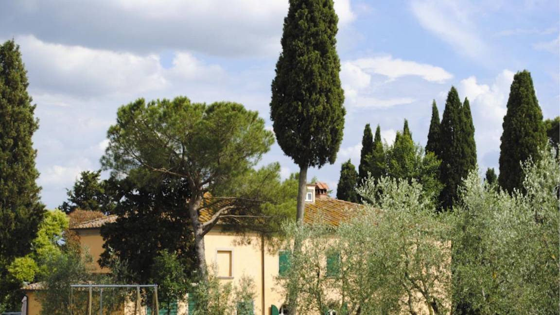 Photo of Others in Marciano della Chiana