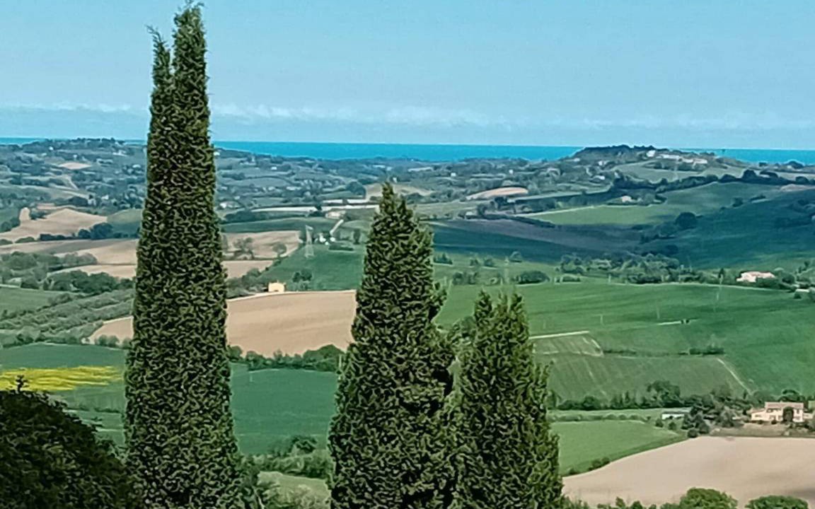 Photo of Others in Mombaroccio