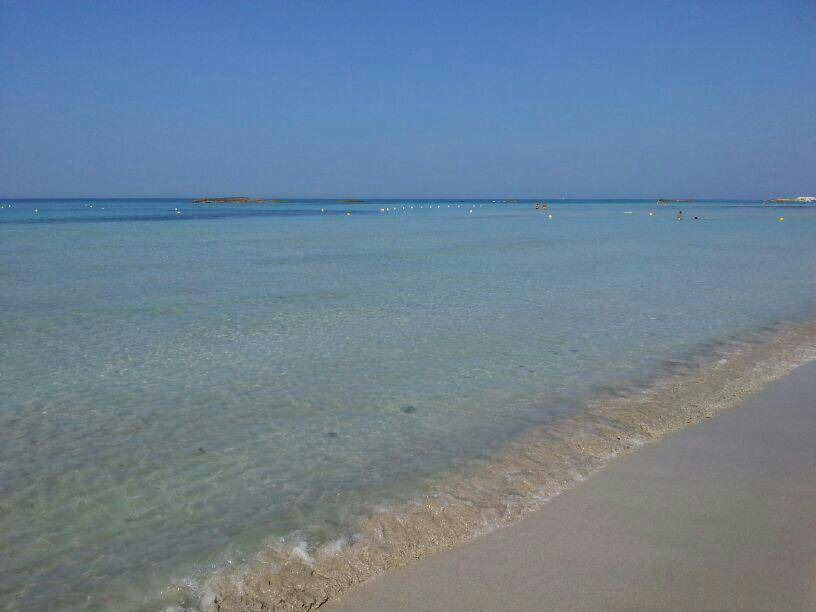 Photo of Others in Torre Mozza