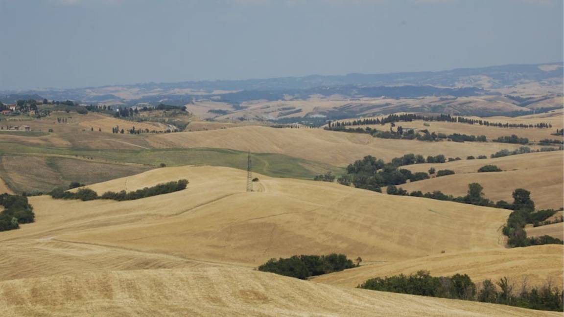 Photo of Others in Lajatico