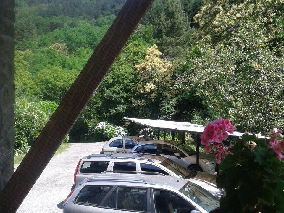 Photo of Others in Borzonasca