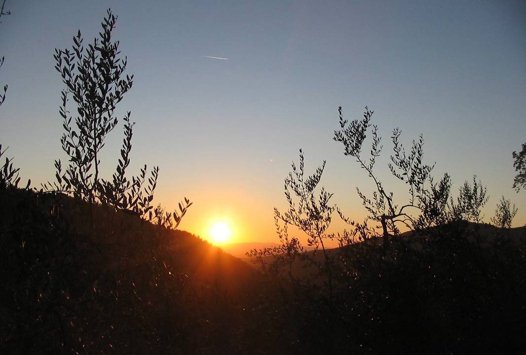 Photo of Others in Anghiari