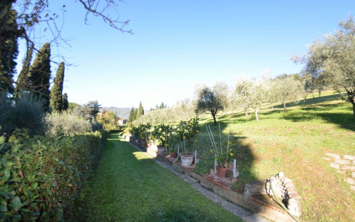 Photo of Others in Uzzano