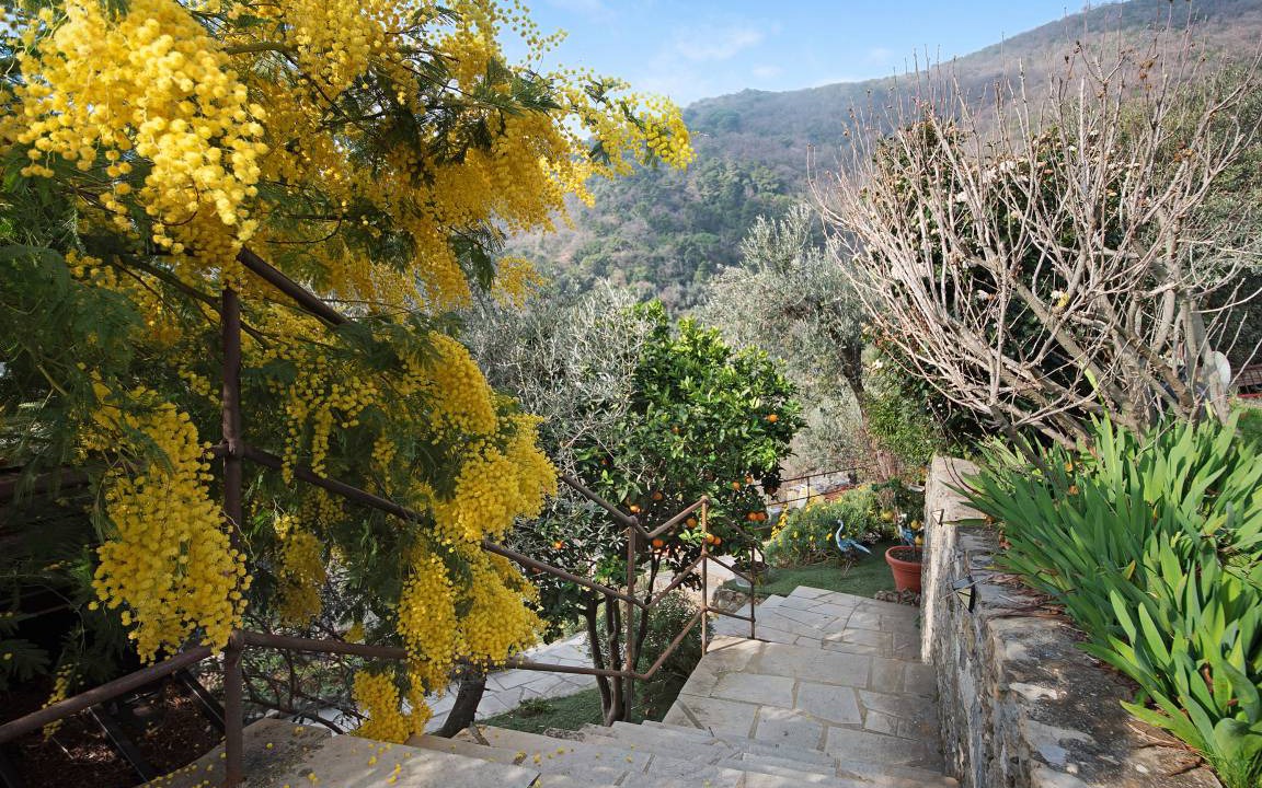 Photo of Others in Recco