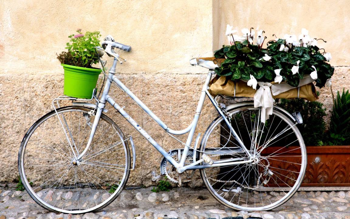 Photo of Others in Finalborgo