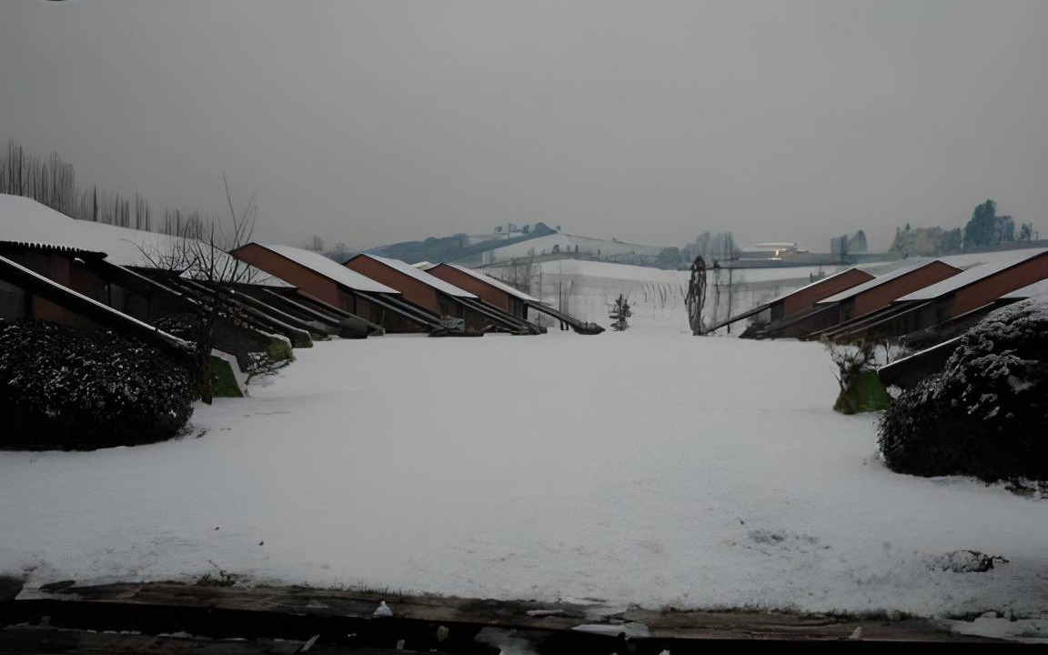 Photo of Others in Serravalle Scrivia