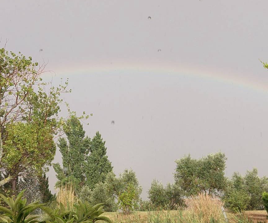 Photo of Others in Montecarotto