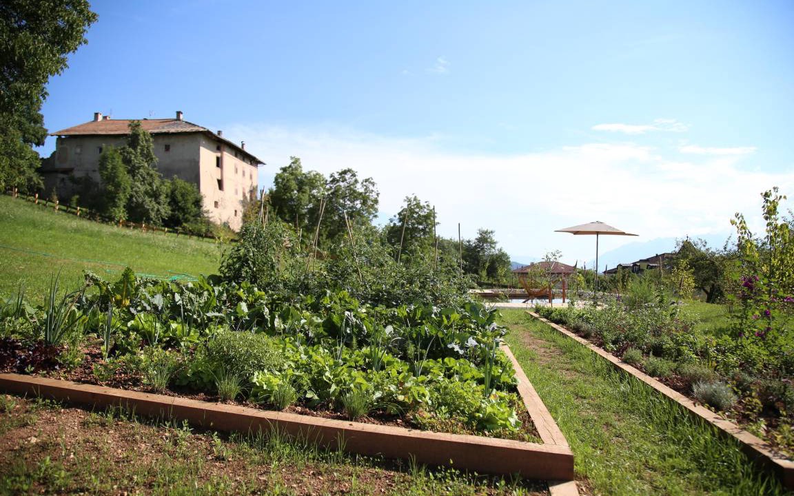 Photo of Others in Sarnonico