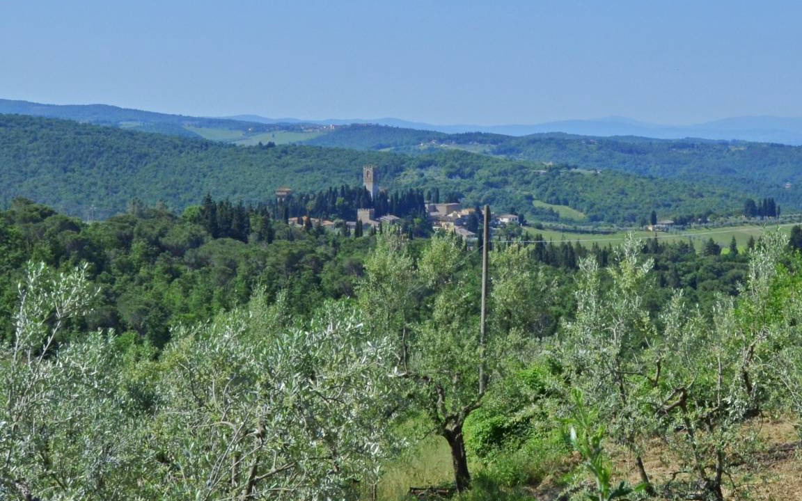 Photo of Others in San Pietro in Bossolo