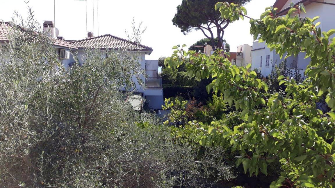 Photo of Others in Santa Severa
