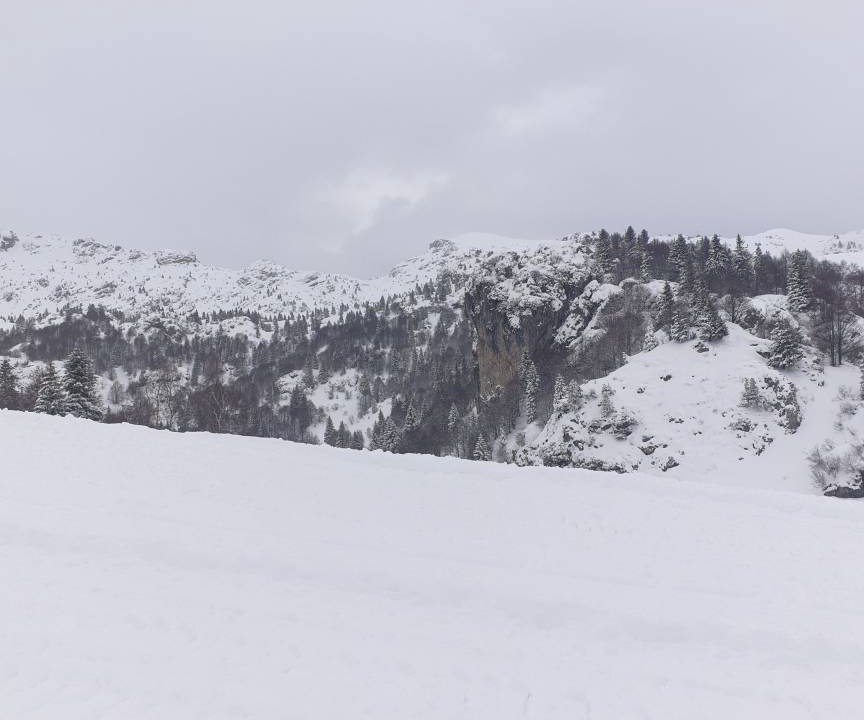 Photo of Others in Moggio